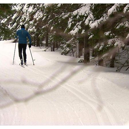 Hotel Far Hills Val-Morin エクステリア 写真
